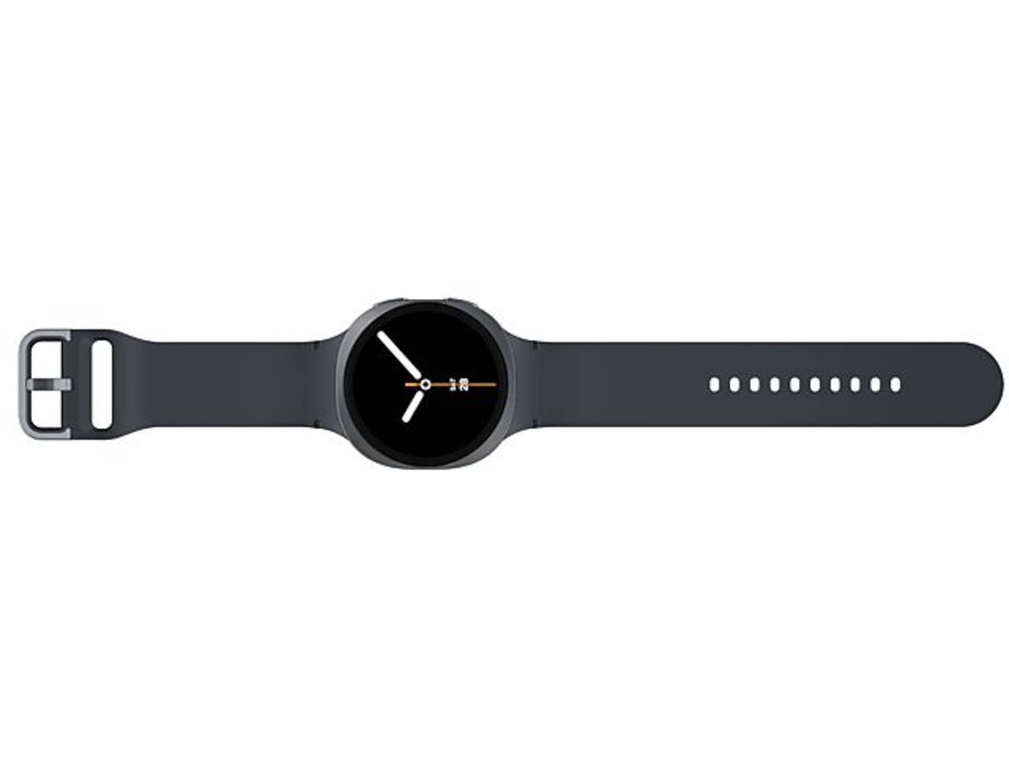 Samsung Galaxy Watch8 44mm LTE Grafiet