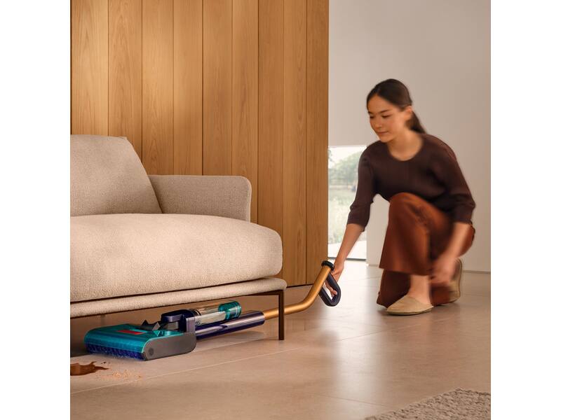 Dyson Clean + Wash Hygiene