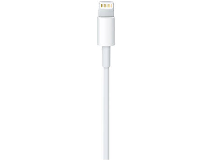 Apple Lightning to USB Cable 1 Meter
